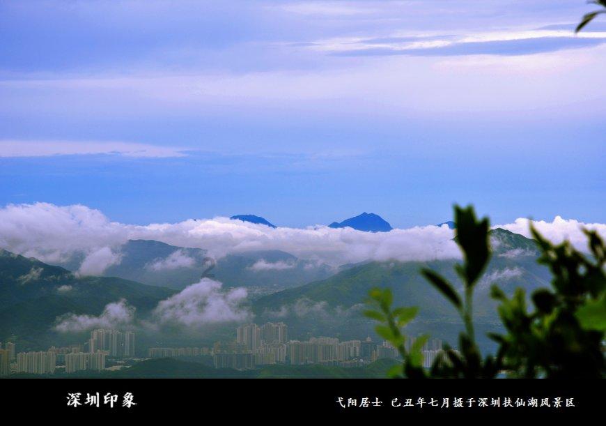 小猫钓鱼开船版最新版下载