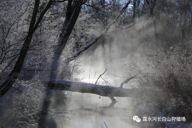 洞穴陷阱逃生
