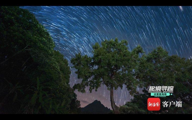 “古彭大地”乘势而上启新程!徐州市委书记登上快闪车……