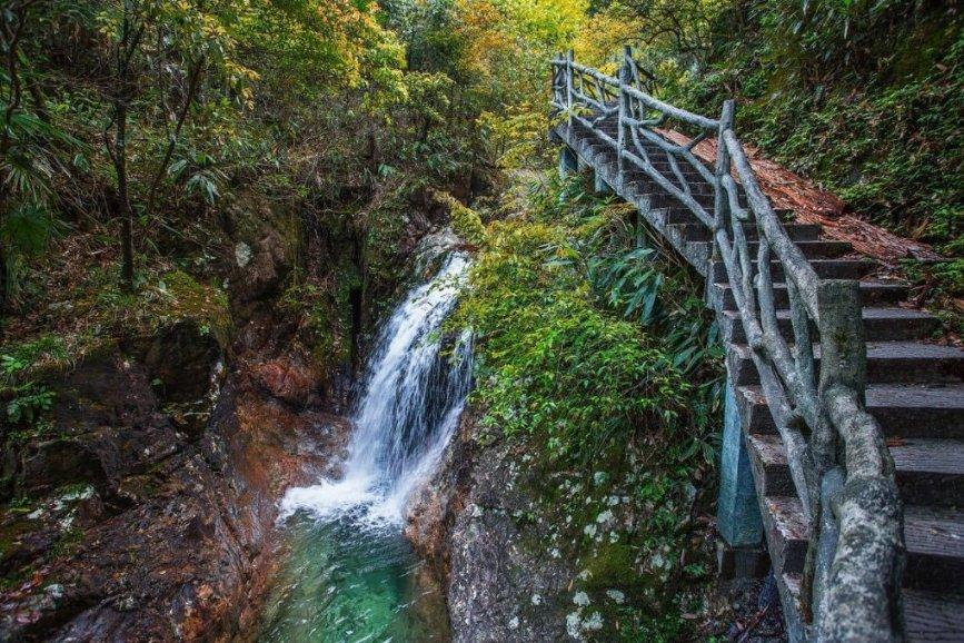 迷失在荒野