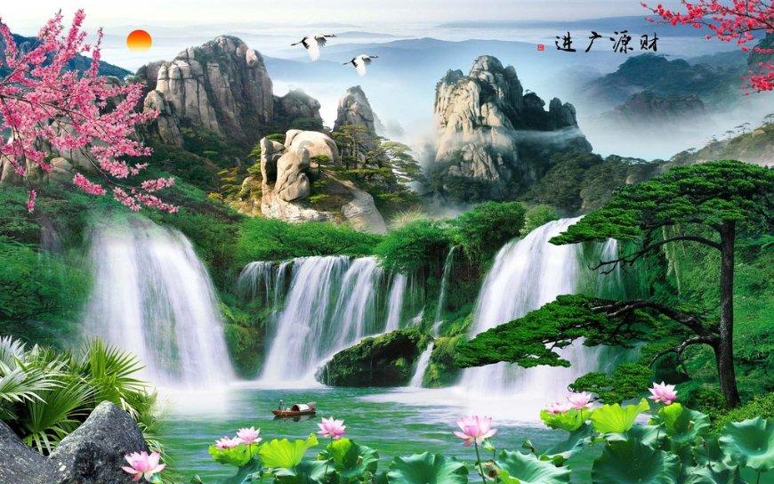 春雨直播app