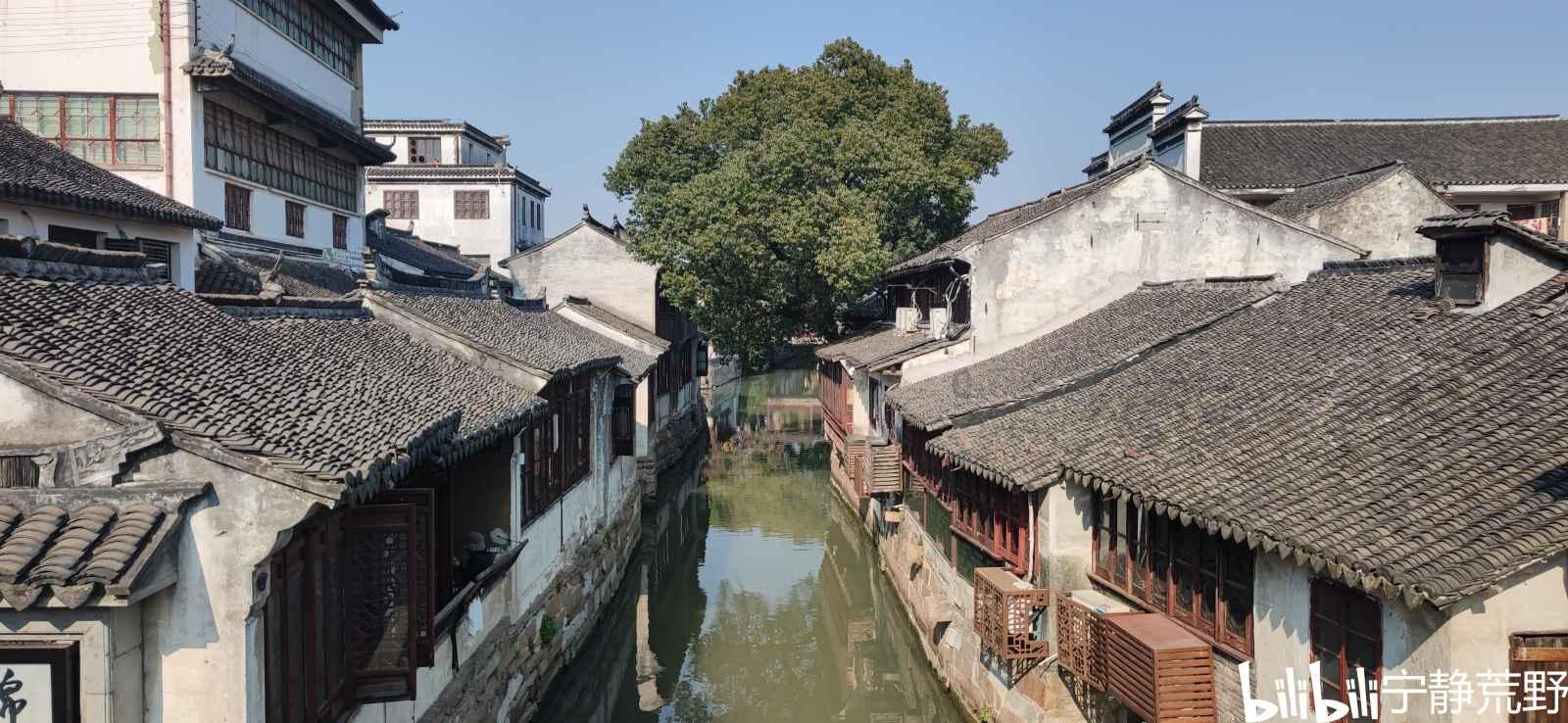 拯救精灵的土地7